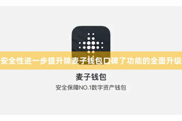 安全性进一步提升除麦子钱包口碑了功能的全面升级