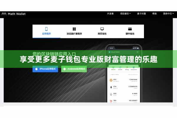 享受更多麦子钱包专业版财富管理的乐趣