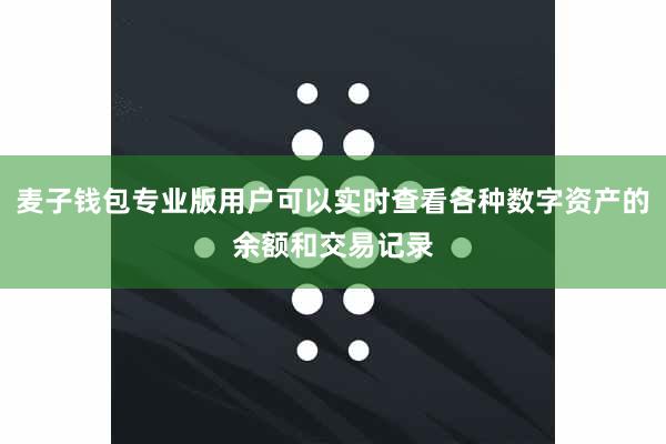 麦子钱包专业版用户可以实时查看各种数字资产的余额和交易记录