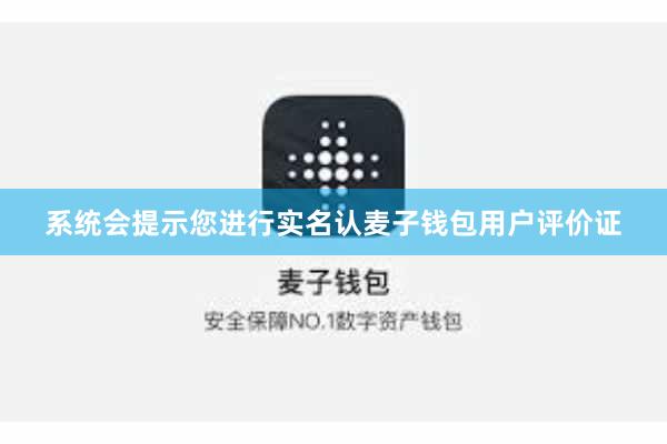 系统会提示您进行实名认麦子钱包用户评价证