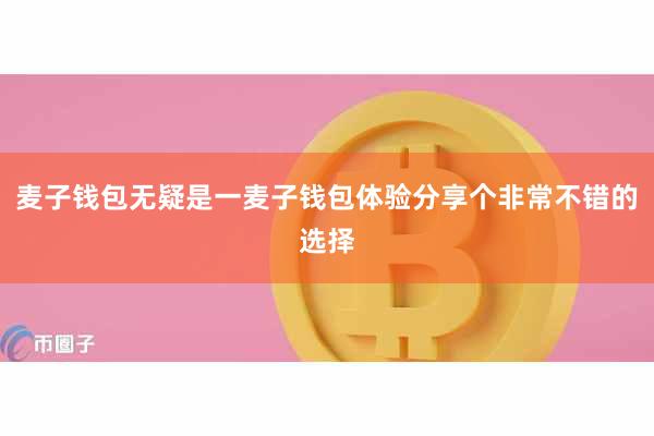 麦子钱包无疑是一麦子钱包体验分享个非常不错的选择