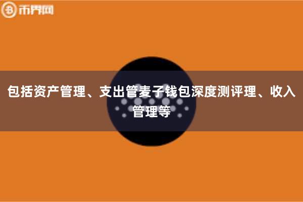 包括资产管理、支出管麦子钱包深度测评理、收入管理等
