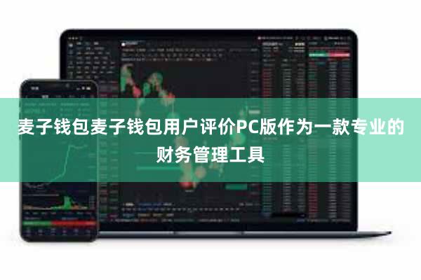 麦子钱包麦子钱包用户评价PC版作为一款专业的财务管理工具
