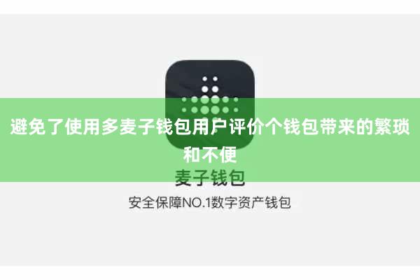 避免了使用多麦子钱包用户评价个钱包带来的繁琐和不便