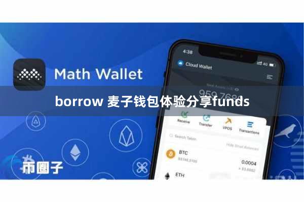 borrow 麦子钱包体验分享funds