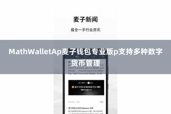 MathWalletAp麦子钱包专业版p支持多种数字货币管理