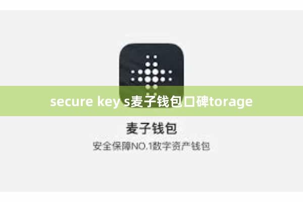 secure key s麦子钱包口碑torage