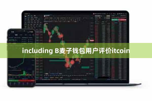 including B麦子钱包用户评价itcoin