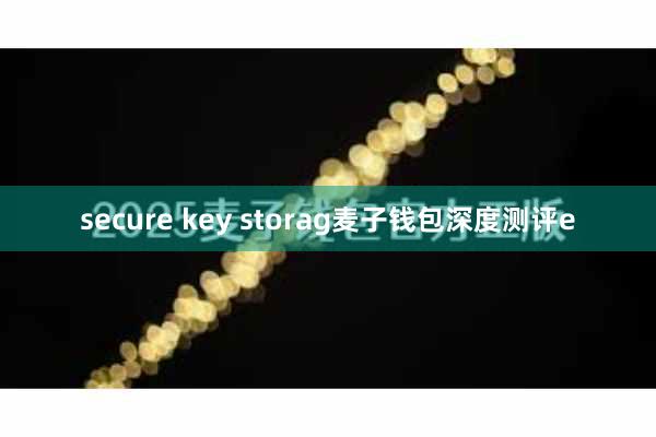 secure key storag麦子钱包深度测评e
