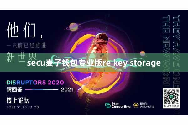 secu麦子钱包专业版re key storage