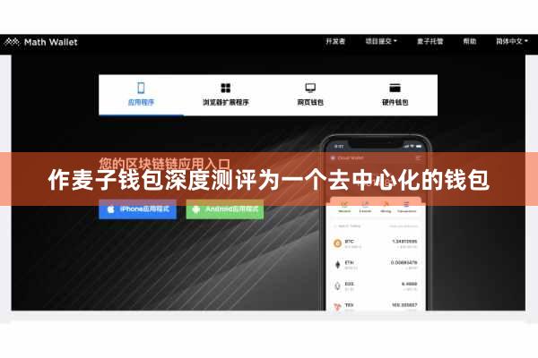 作麦子钱包深度测评为一个去中心化的钱包