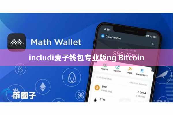 includi麦子钱包专业版ng Bitcoin