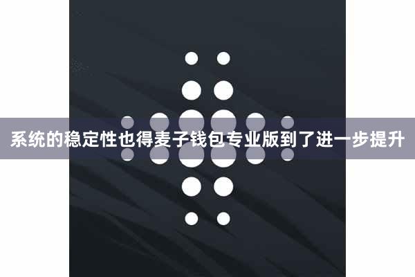 系统的稳定性也得麦子钱包专业版到了进一步提升