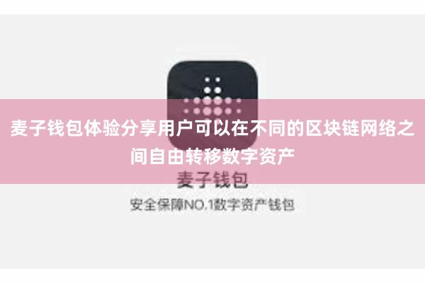 麦子钱包体验分享用户可以在不同的区块链网络之间自由转移数字资产