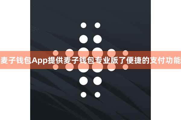 麦子钱包App提供麦子钱包专业版了便捷的支付功能