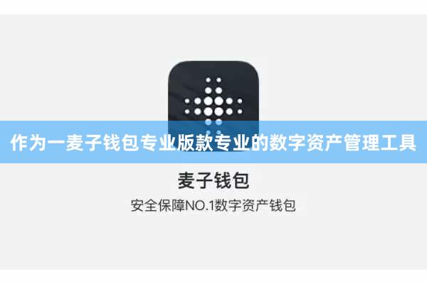 作为一麦子钱包专业版款专业的数字资产管理工具