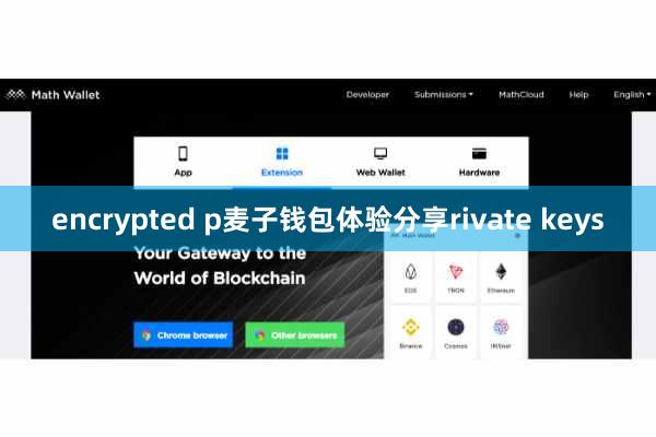 encrypted p麦子钱包体验分享rivate keys