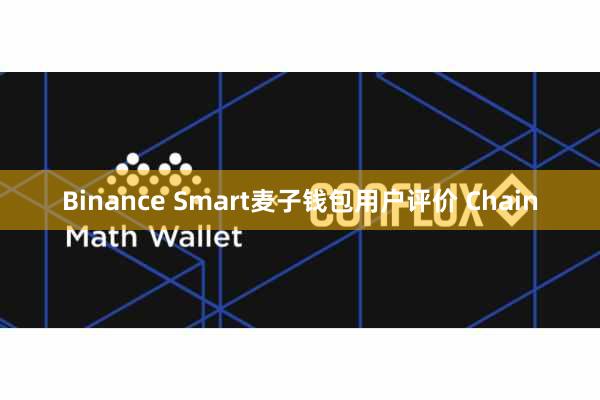 Binance Smart麦子钱包用户评价 Chain