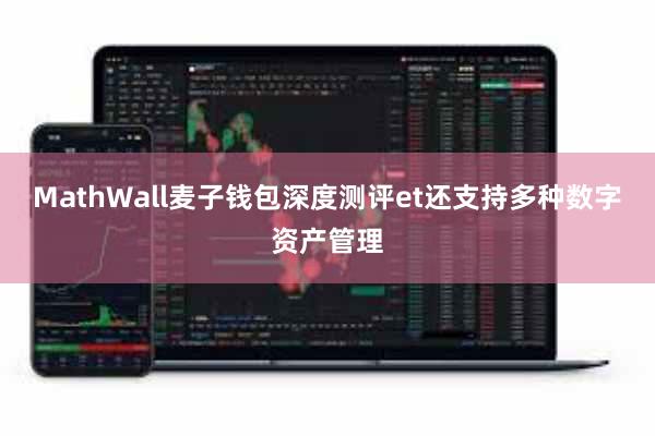 MathWall麦子钱包深度测评et还支持多种数字资产管理