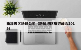 新加坡区块链公司(新加坡区块链峰会2019)