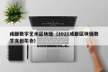 成都数字艺术区块链（2021成都区块链数字文创年会）