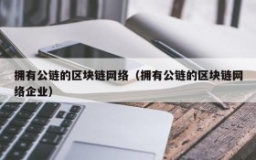 拥有公链的区块链网络(拥有公链的区块链网络企业)