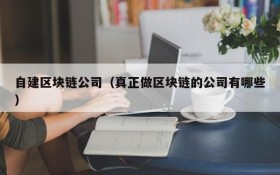 自建区块链公司(真正做区块链的公司有哪些)