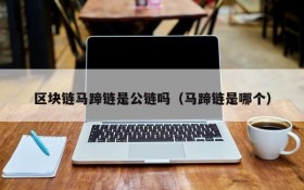 区块链马蹄链是公链吗(马蹄链是哪个)