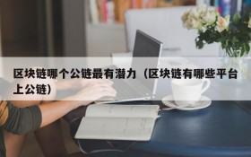 区块链哪个公链最有潜力（区块链有哪些平台上公链）