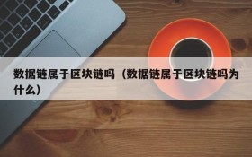 数据链属于区块链吗（数据链属于区块链吗为什么）