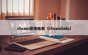 steam游戏哈希(steamhalo)