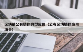 区块链公有链的典型应用（公有区块链的应用场景）