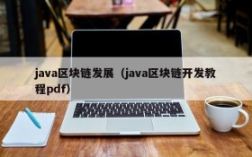 java区块链发展(java区块链开发教程pdf)