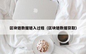 区块链数据链入过程(区块链数据获取)
