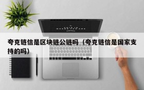 夸克链信是区块链公链吗(夸克链信是国家支持的吗)