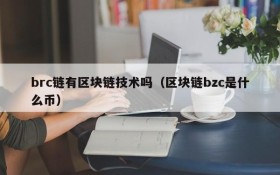 brc链有区块链技术吗(区块链bzc是什么币)