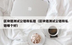 区块链测试公链和私链（区块链测试公链和私链哪个好）