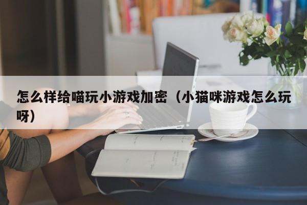 怎么样给喵玩小游戏加密（小猫咪游戏怎么玩呀）