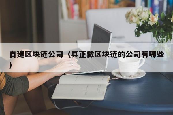 自建区块链公司（真正做区块链的公司有哪些）