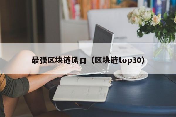 最强区块链风口（区块链top30）