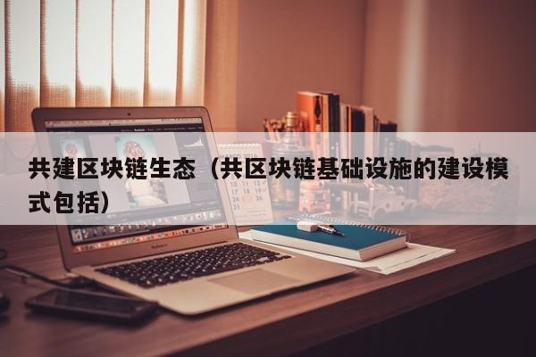 共建区块链生态（共区块链基础设施的建设模式包括）