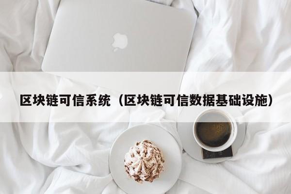 区块链可信系统（区块链可信数据基础设施）
