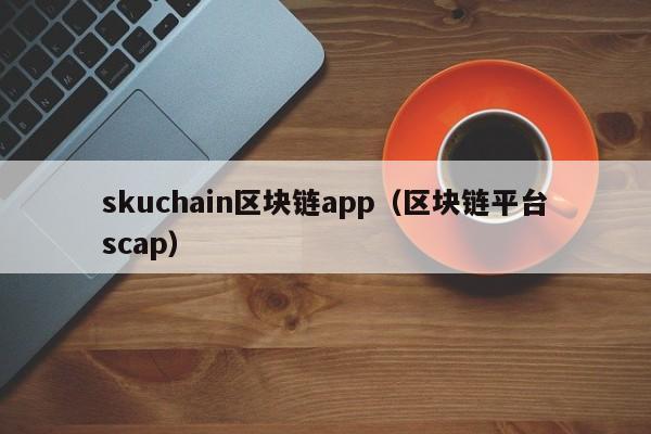 skuchain区块链app（区块链平台scap）