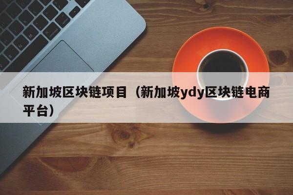 新加坡区块链项目（新加坡ydy区块链电商平台）