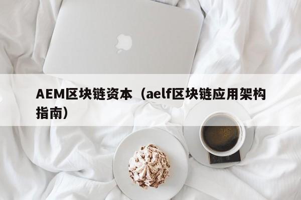 AEM区块链资本（aelf区块链应用架构指南）