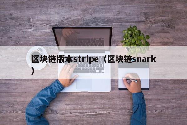 区块链版本stripe（区块链snark）