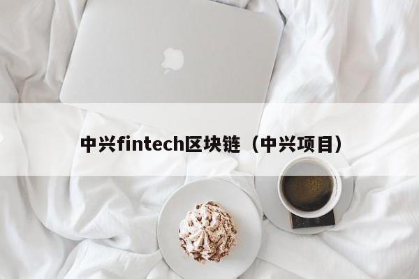 中兴fintech区块链（中兴项目）