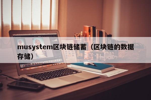musystem区块链储蓄（区块链的数据存储）