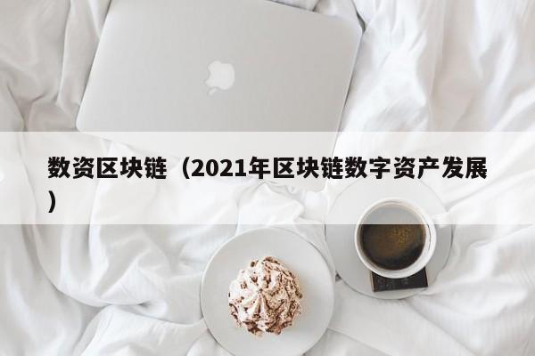数资区块链（2021年区块链数字资产发展）