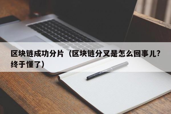 区块链成功分片（区块链分叉是怎么回事儿?终于懂了）